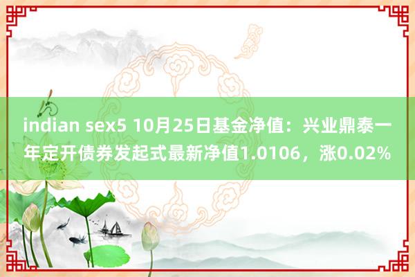 indian sex5 10月25日基金净值：兴业鼎泰一年定开债券发起式最新净值1.0106，涨0.02%