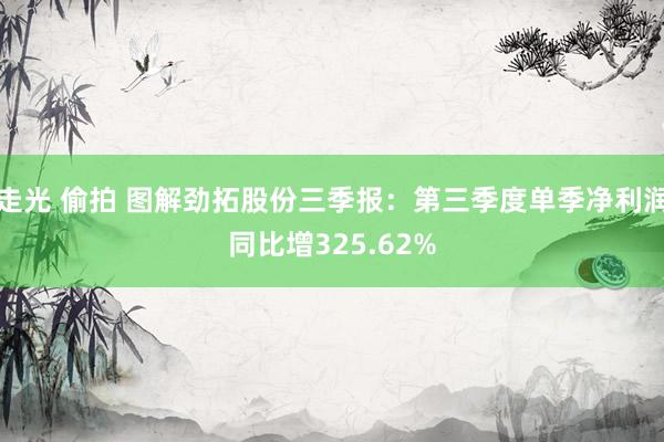 走光 偷拍 图解劲拓股份三季报：第三季度单季净利润同比增325.62%