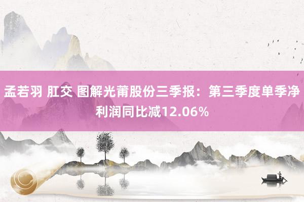 孟若羽 肛交 图解光莆股份三季报：第三季度单季净利润同比减12.06%