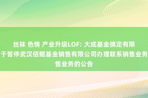 丝袜 色情 产业升级LOF: 大成基金搞定有限公司对于暂停武汉佰鲲基金销售有限公司办理联系销售业务的公告