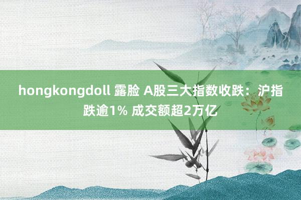 hongkongdoll 露脸 A股三大指数收跌：沪指跌逾1% 成交额超2万亿