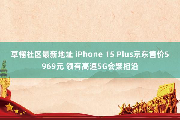 草榴社区最新地址 iPhone 15 Plus京东售价5969元 领有高速5G会聚相沿