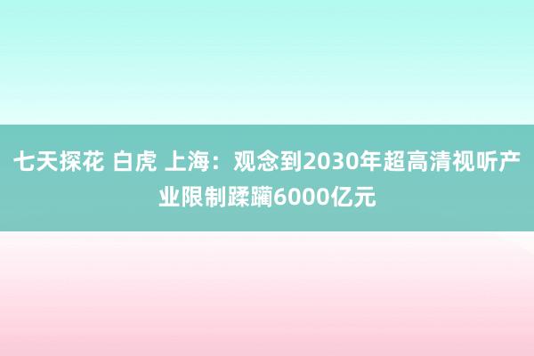 七天探花 白虎 上海：观念到2030年超高清视听产业限制蹂躏6000亿元