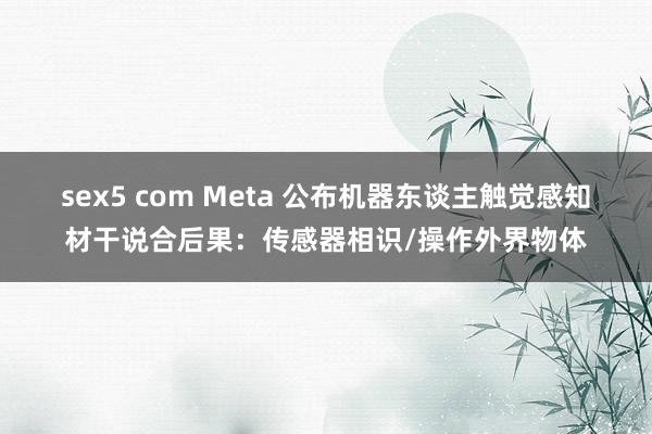 sex5 com Meta 公布机器东谈主触觉感知材干说合后果：传感器相识/操作外界物体