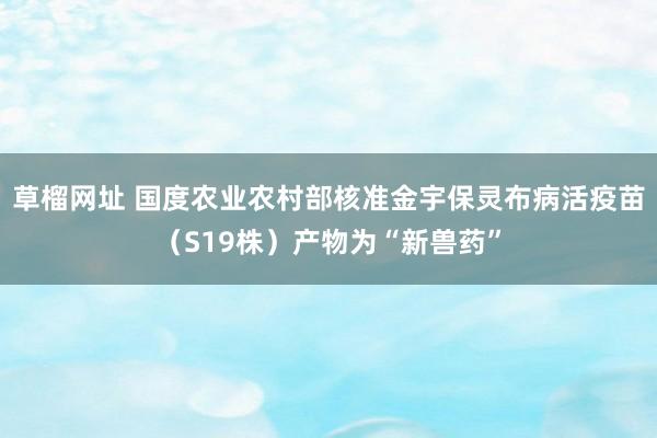 草榴网址 国度农业农村部核准金宇保灵布病活疫苗（S19株）产物为“新兽药”