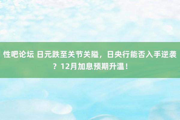 性吧论坛 日元跌至关节关隘，日央行能否入手逆袭？12月加息预期升温！