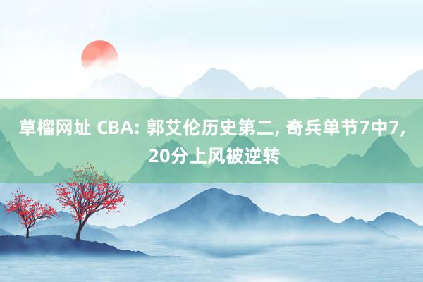 草榴网址 CBA: 郭艾伦历史第二, 奇兵单节7中7, 20分上风被逆转