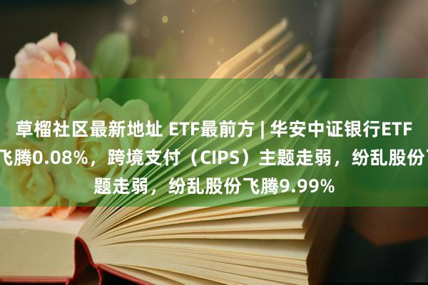 草榴社区最新地址 ETF最前方 | 华安中证银行ETF(516210)飞腾0.08%，跨境支付（CIPS）主题走弱，纷乱股份飞腾9.99%