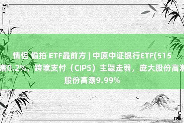 情侣 偷拍 ETF最前方 | 中原中证银行ETF(515020)高潮0.2%，跨境支付（CIPS）主题走弱，庞大股份高潮9.99%