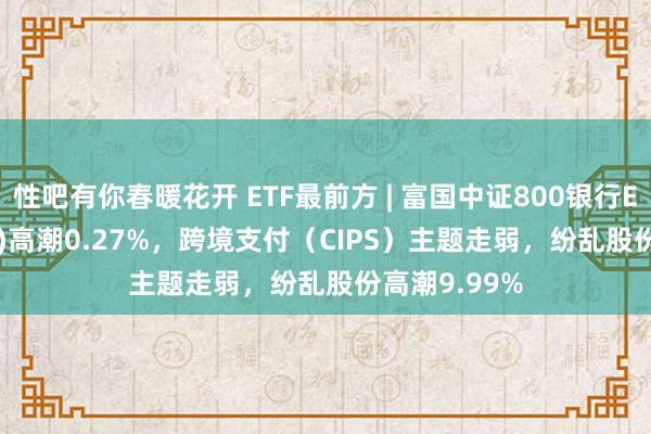 性吧有你春暖花开 ETF最前方 | 富国中证800银行ETF(159887)高潮0.27%，跨境支付（CIPS）主题走弱，纷乱股份高潮9.99%