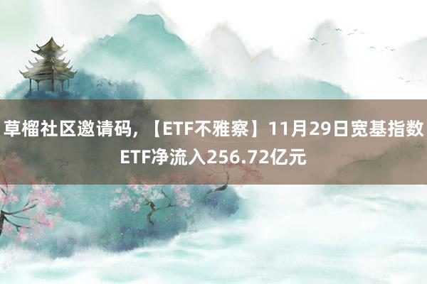 草榴社区邀请码, 【ETF不雅察】11月29日宽基指数ETF净流入256.72亿元