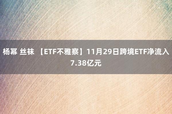 杨幂 丝袜 【ETF不雅察】11月29日跨境ETF净流入7.38亿元