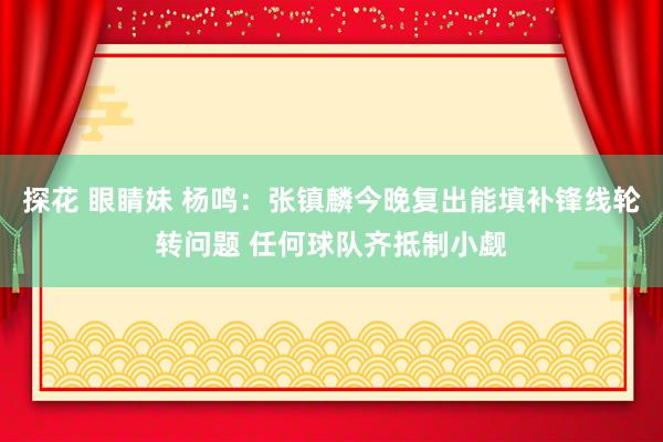 探花 眼睛妹 杨鸣：张镇麟今晚复出能填补锋线轮转问题 任何球队齐抵制小觑