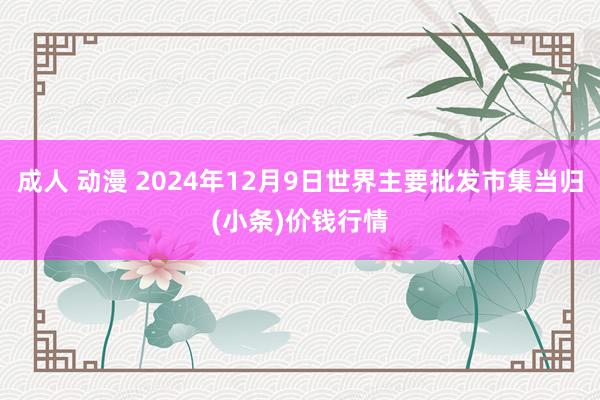 成人 动漫 2024年12月9日世界主要批发市集当归(小条)价钱行情