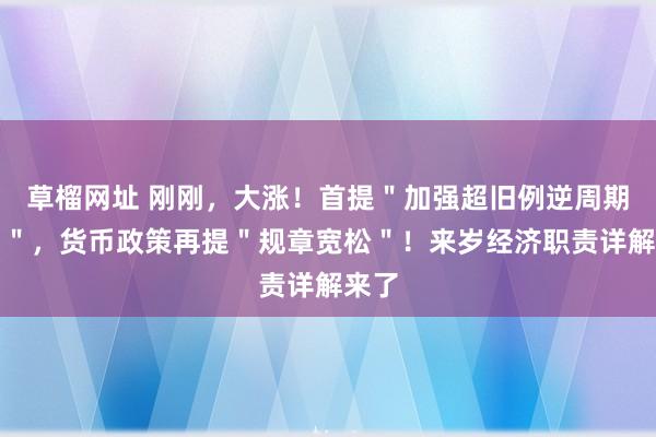 草榴网址 刚刚，大涨！首提＂加强超旧例逆周期改动＂，货币政策再提＂规章宽松＂！来岁经济职责详解来了