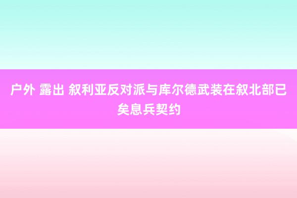 户外 露出 叙利亚反对派与库尔德武装在叙北部已矣息兵契约