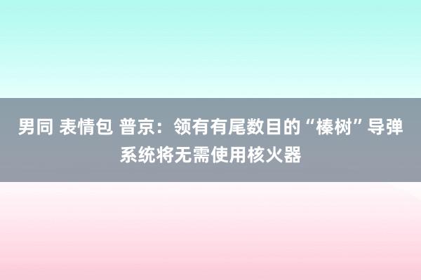 男同 表情包 普京：领有有尾数目的“榛树”导弹系统将无需使用核火器