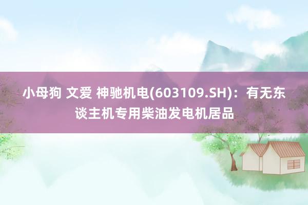 小母狗 文爱 神驰机电(603109.SH)：有无东谈主机专用柴油发电机居品