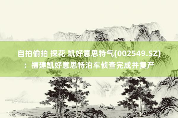 自拍偷拍 探花 凯好意思特气(002549.SZ)：福建凯好意思特泊车侦查完成并复产