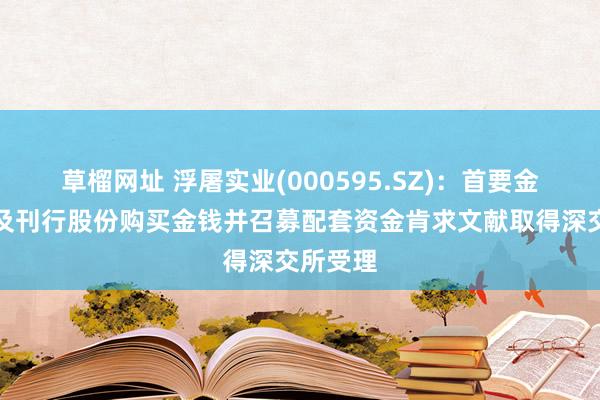 草榴网址 浮屠实业(000595.SZ)：首要金钱置换及刊行股份购买金钱并召募配套资金肯求文献取得深交所受理