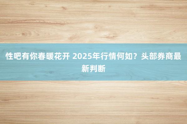 性吧有你春暖花开 2025年行情何如？头部券商最新判断