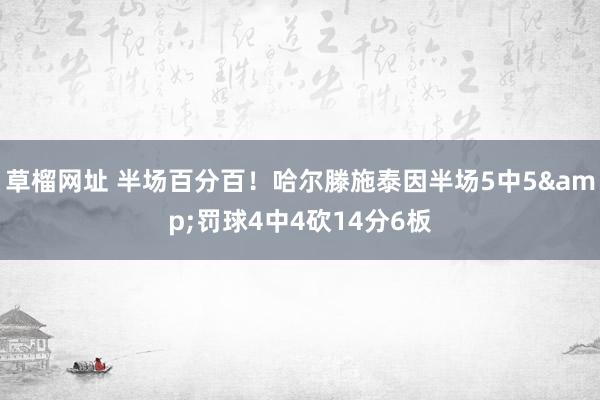 草榴网址 半场百分百！哈尔滕施泰因半场5中5&罚球4中4砍14分6板