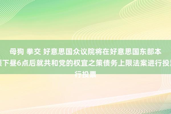 母狗 拳交 好意思国众议院将在好意思国东部本领下昼6点后就共和党的权宜之策债务上限法案进行投票