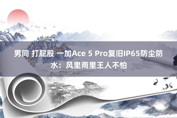 男同 打屁股 一加Ace 5 Pro复旧IP65防尘防水：风里雨里王人不怕