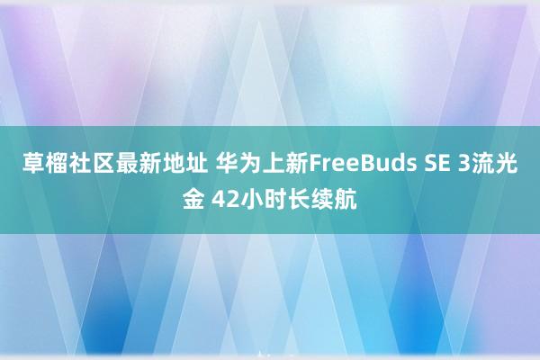 草榴社区最新地址 华为上新FreeBuds SE 3流光金 42小时长续航