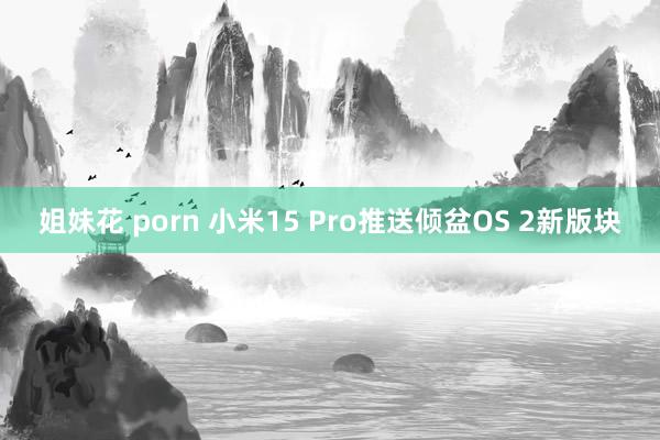 姐妹花 porn 小米15 Pro推送倾盆OS 2新版块