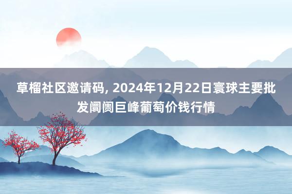 草榴社区邀请码, 2024年12月22日寰球主要批发阛阓巨峰葡萄价钱行情