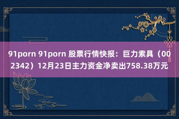 91porn 91porn 股票行情快报：巨力索具（002342）12月23日主力资金净卖出758.38万元