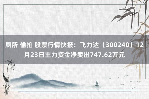 厕所 偷拍 股票行情快报：飞力达（300240）12月23日主力资金净卖出747.62万元