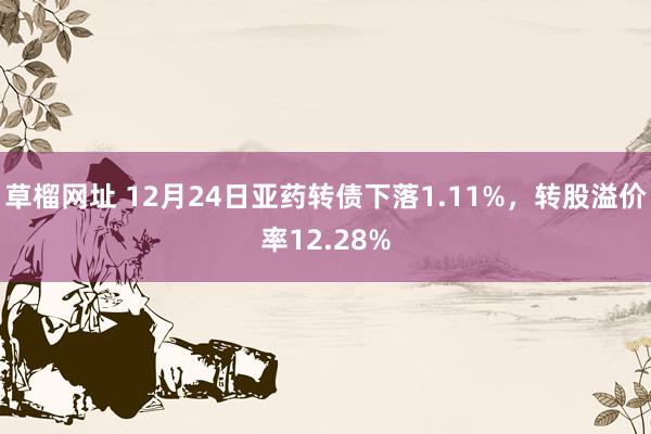 草榴网址 12月24日亚药转债下落1.11%，转股溢价率12.28%