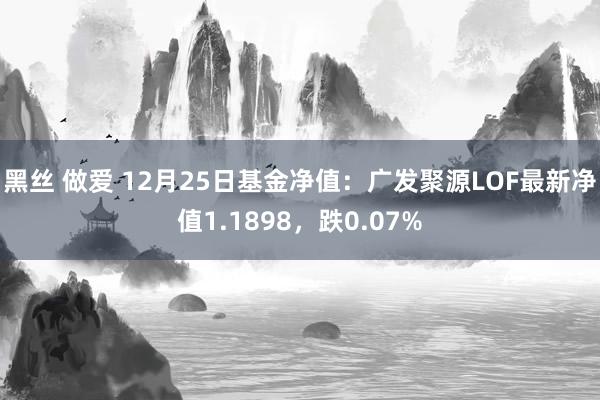 黑丝 做爱 12月25日基金净值：广发聚源LOF最新净值1.1898，跌0.07%