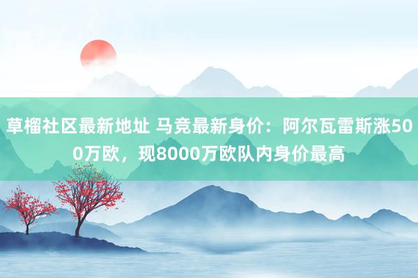 草榴社区最新地址 马竞最新身价：阿尔瓦雷斯涨500万欧，现8000万欧队内身价最高