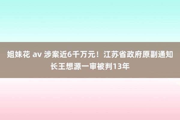 姐妹花 av 涉案近6千万元！江苏省政府原副通知长王想源一审被判13年