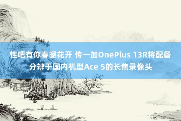 性吧有你春暖花开 传一加OnePlus 13R将配备分辨于国内机型Ace 5的长焦录像头