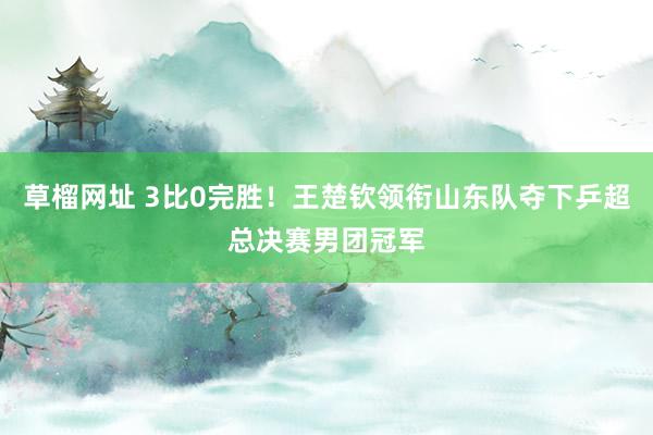 草榴网址 3比0完胜！王楚钦领衔山东队夺下乒超总决赛男团冠军