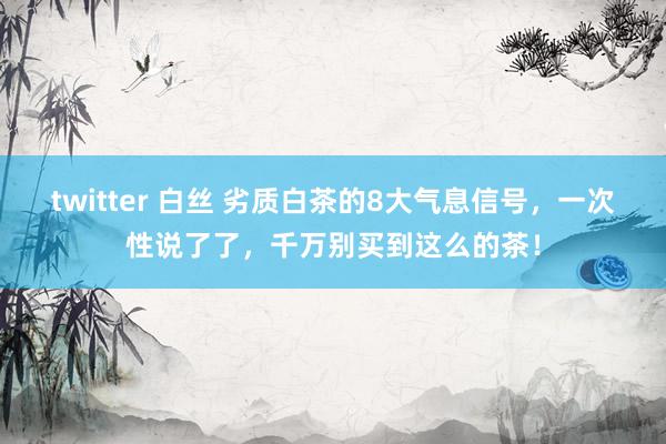 twitter 白丝 劣质白茶的8大气息信号，一次性说了了，千万别买到这么的茶！