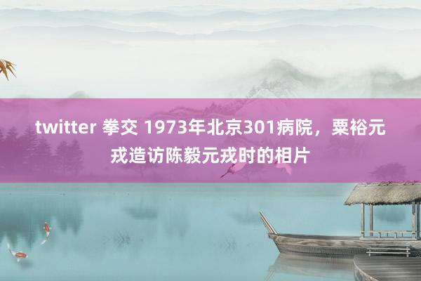 twitter 拳交 1973年北京301病院，粟裕元戎造访陈毅元戎时的相片