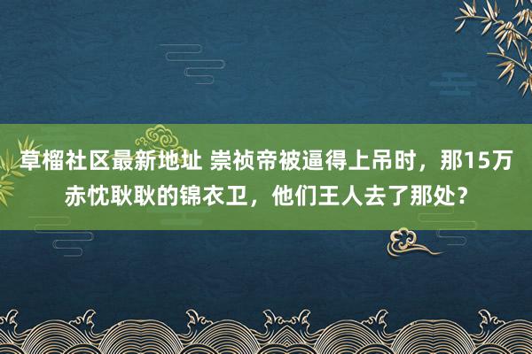 草榴社区最新地址 崇祯帝被逼得上吊时，那15万赤忱耿耿的锦衣卫，他们王人去了那处？