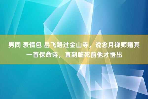 男同 表情包 岳飞路过金山寺，说念月禅师赠其一首保命诗，直到临死前他才悟出