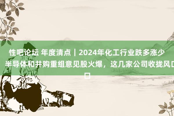 性吧论坛 年度清点｜2024年化工行业跌多涨少，半导体和并购重组意见股火爆，这几家公司收拢风口