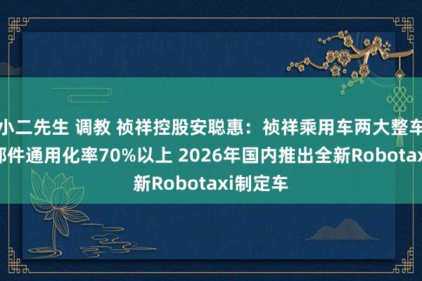 小二先生 调教 祯祥控股安聪惠：祯祥乘用车两大整车架构零部件通用化率70%以上 2026年国内推出全新Robotaxi制定车