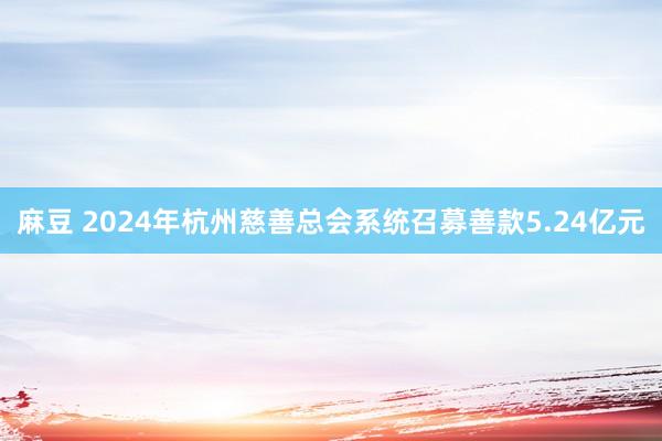 麻豆 2024年杭州慈善总会系统召募善款5.24亿元