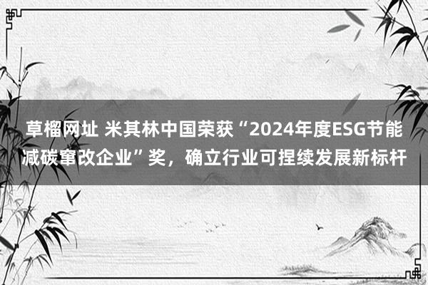 草榴网址 米其林中国荣获“2024年度ESG节能减碳窜改企业”奖，确立行业可捏续发展新标杆