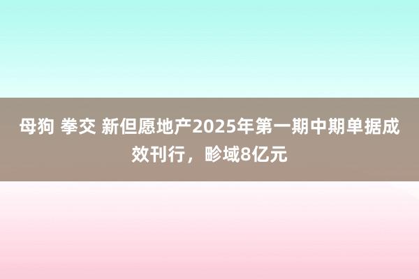 母狗 拳交 新但愿地产2025年第一期中期单据成效刊行，畛域8亿元