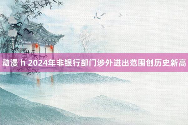 动漫 h 2024年非银行部门涉外进出范围创历史新高