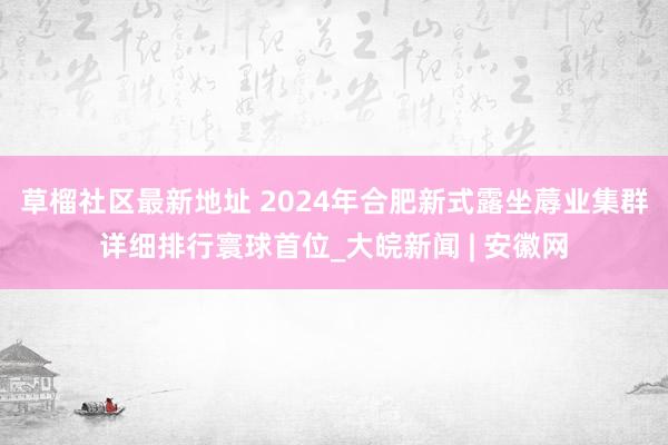 草榴社区最新地址 2024年合肥新式露坐蓐业集群详细排行寰球首位_大皖新闻 | 安徽网